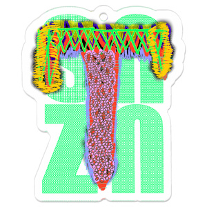 snzn_zan3_rogo2025