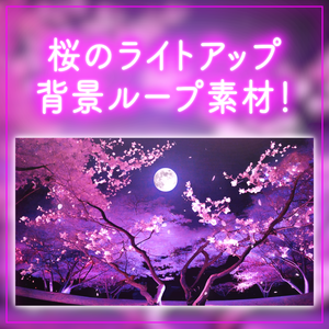 【背景ループ素材】ライトアップされた夜桜 夜 桜の木 月夜 舞う桜 動く背景 春 神秘的 幻想的 和風 3月 木 自然 ゲームなどの背景に 配信背景【背景動画】