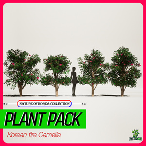 4 Realistic 韓国 椿パック(Korean Fire Camellia)