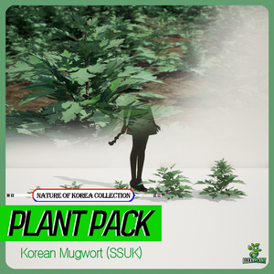 リアルな韓国産ヨモギ5種 植物 3Dモデル