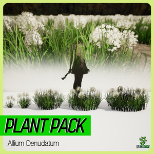 5種類のヨーロッパ野の花、Allium Denudatum II LOD