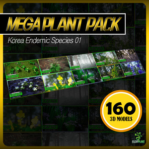 MEGA PLANT PACK - 韓国固有種10種01パック