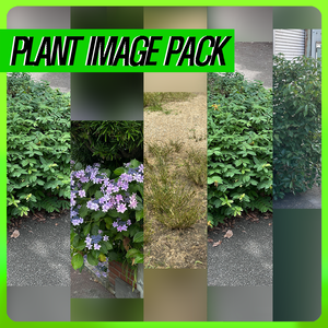 PLANT IMAGE PACK 01 - 5 日本の街角植物