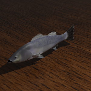３Ｄ魚