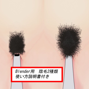 Blender用　陰毛2種類　使い方説明付き