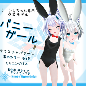 「ミーシェ」用衣装モデル　『バニーガール』(v1.1)