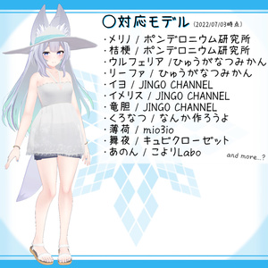 [11モデル対応]衣装モデル『夏と田舎とおねえさん』 缩略图 5