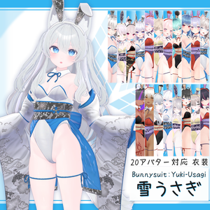 [20モデル対応]衣装モデル『バニースーツ:雪うさぎ』