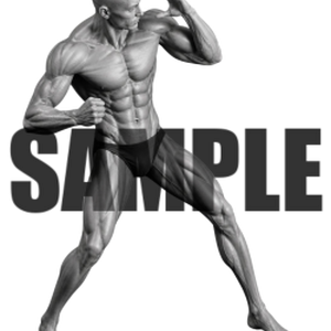 透過PNG素材｜アクションポーズ_ファイティング_0026 / Transparent PNG image material | Action_pose_Fighting_0026
