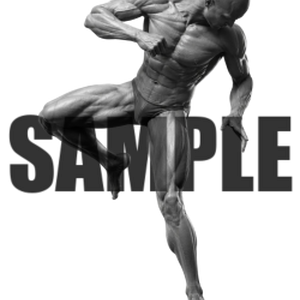 透過PNG素材｜アクションポーズ_ファイティング_0029 / Transparent PNG image material | Action_pose_Fighting_0029