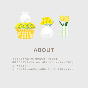 お花セット7種（ワールド用アイテム） 缩略图 2