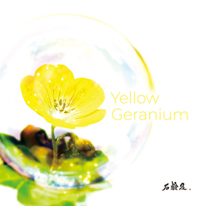 Yellow Geranium