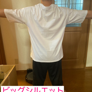 [受注終了]イエローゼラニウム・ラメ＆グラデーションTシャツ