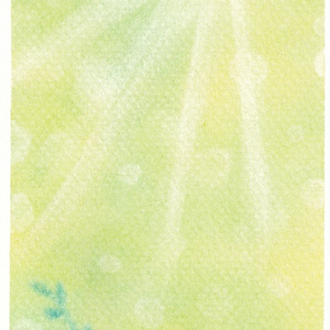 117新芽★【黄/青】