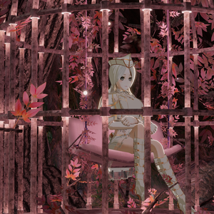 WARUDO와루도(PRO/STANDARD) ENVIRONMENT W061-IN THE CAGE(4colors)