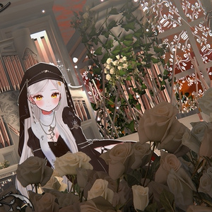 WARUDO와루도(PRO/STANDARD) ENVIRONMENT W081-HOV FANTASIA-2 3in1 SET 缩略图 4