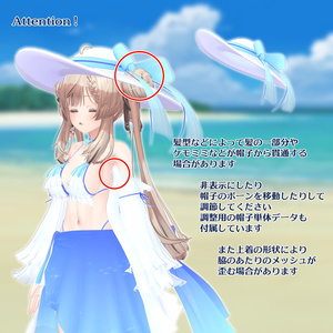ラッフルビキニC [10アバター+α対応] 缩略图 8