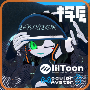 SN-VISOR