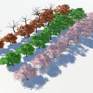 風に揺れる四季の桜 缩略图 2
