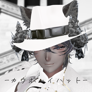 3D　カウボーイハット　COWBOYHAT