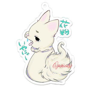 ふりかえりワンコ🐾