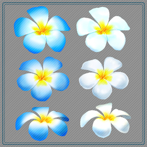 プルメリアブラシ