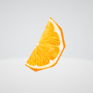 Orange Slice FBX 3D Asset