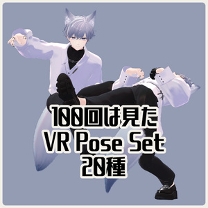 100 Times Seen It VR Pose Set - 20 Types
