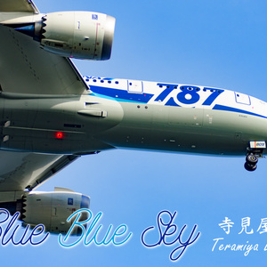 BlueBlueSky