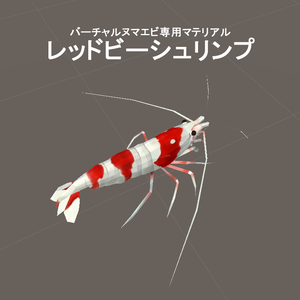 バーチャルヌマエビ専用マテリアル レッドビーシュリンプ
