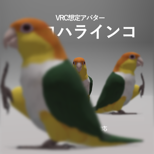 シロハラインコ アバター