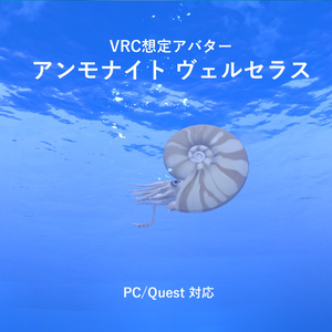 Ammonite Avatar