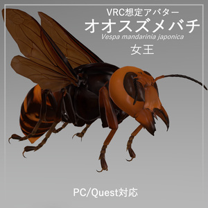 Wasp Avatar