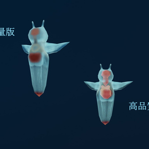 ハダカカメガイ(クリオネ) 3Dモデル 缩略图 2