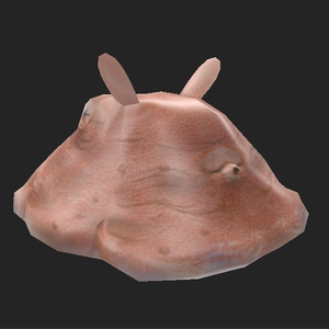 メンダコ 3Dモデル 缩略图 3