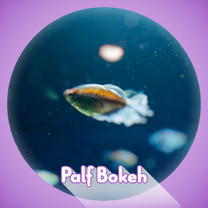 【AfterEffects Plugin】Palf Bokeh