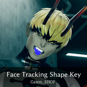 バアル顔トラシェイプキー <Baal Face Tracking Shape Key >