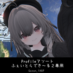 <Profileアソート> ふぇいとらでき～る２専用