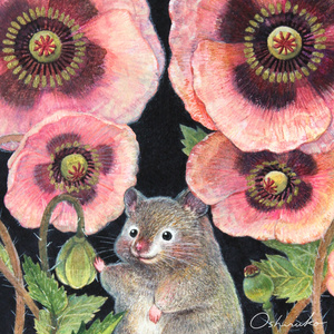 ポストカード3枚Set｜セーブルハムスターとアツミゲシの花