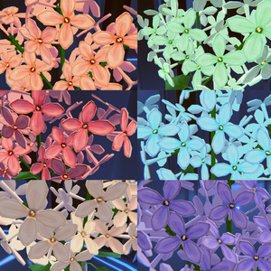 ライラック - Lilac 缩略图 5