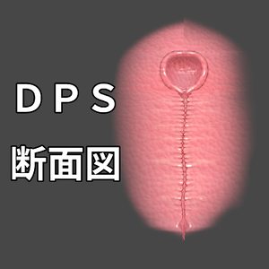 DPS断面図