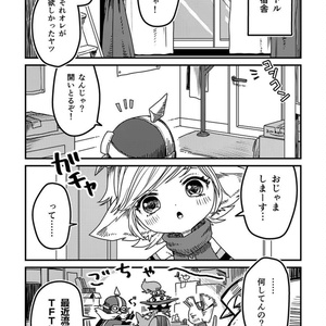 Valoran Diary 2