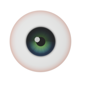 両目 モデリングオブジェクト作品 eyes