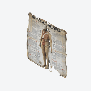 aged_anatomical_poster_02｜古びた人体図ポスター