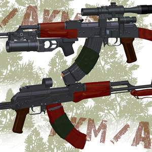 AKM/AKMS