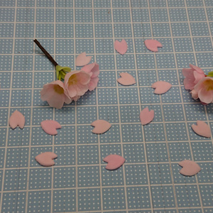 桜🌸花びら