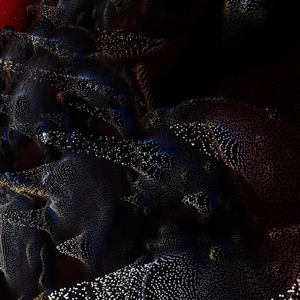 Anima Canvas - Dynamic Video Particle Screen