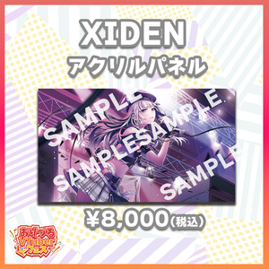 XIDEN コンプリートセット（複製サイン入りCDジャケット風ポスト