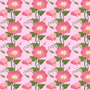 ピンクのアサガオの花とつぼみが可愛いピンクの夏の壁紙08