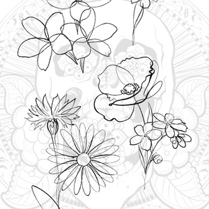 【高解像度PNG】Wild Flowers Line Art｜PNG素材8点セット